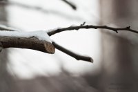 Սպիտակ քառակուսի